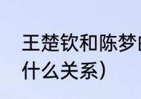 王楚钦和陈梦的年龄（陈梦和王楚钦什么关系）