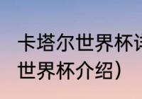 卡塔尔世界杯详细资料（2023卡塔尔世界杯介绍）