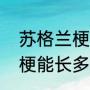 苏格兰梗几个月开始变好看（苏格兰梗能长多大）