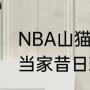 NBA山猫队改成什么了（夏洛特黄蜂当家昔日球星有谁）