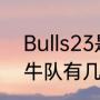 Bulls23是谁的球衣（NBA芝加哥公牛队有几件退役球衣）