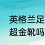 英格兰足总杯积分榜（托雷斯拿过英超金靴吗）