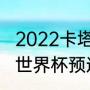 2022卡塔尔世界杯意大利出线了吗（世界杯预选赛意大利被谁淘汰了）