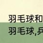 羽毛球和足球哪个好处多（足球,篮球,羽毛球,乒乓球的总称是什么）