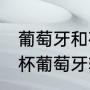 葡萄牙和荷兰哪个面积大（06年世界杯葡萄牙输给了哪个队）