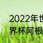 2022年世界杯阿根廷战绩（2022世界杯阿根廷输给了谁）