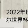 2022年世界杯开赛时间（2022卡塔尔世界杯开赛时间）