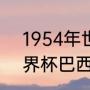 1954年世界杯参赛球队（1954年世界杯巴西第几名）