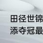 田径世锦赛赛程表苏炳添分组（苏炳添夺冠最佳时间）