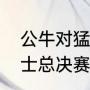 公牛对猛龙谁是主场（19年猛龙对勇士总决赛哪场最激烈）