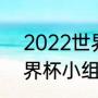 2022世界杯小组出线规则（22年世界杯小组出线规则）