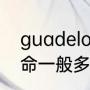 guadeloupe是哪个国家（大兜虫寿命一般多久）