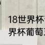 18世界杯葡萄牙小组赛情况（2018世界杯葡萄牙小组赛成绩）