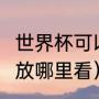 世界杯可以回看吗（wtt世界杯决赛回放哪里看）