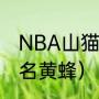 NBA山猫改名为什么（山猫为什么改名黄蜂）