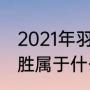 2021年羽毛球比赛几局几胜（三局两胜属于什么赛制）