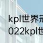 kpl世界冠军杯2021总决赛谁能赢（2022kpl世冠冠军是谁）