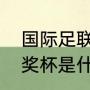 国际足联世界杯奖杯名字（世界杯的奖杯是什么）