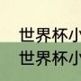 世界杯小组赛输两场能出线吗（女足世界杯小组第三可以出线吗）