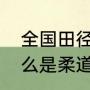 全国田径冠军赛决赛啥时候开始（什么是柔道冠军赛）