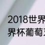 2018世界杯葡萄牙止步几强（南非世界杯葡萄牙战绩）