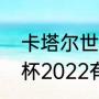 卡塔尔世界杯乌克兰出线了吗（世界杯2022有俄国吗）