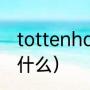 tottenham是什么球队（猛龙全名叫什么）