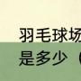 羽毛球场的长，宽和面积的标准规格是多少（羽毛球场标准尺寸是多少）