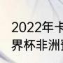 2022年卡塔尔世界杯非洲区排名（世界杯非洲预选赛积分榜）