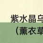 紫水晶乌拉圭产还巴西产有什么区别（薰衣草水晶和乌拉圭紫晶哪个好）