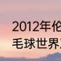 2012年伦敦奥运会获得女单亚军（羽毛球世界双打冠军）