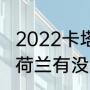 2022卡塔尔世界杯各个国家队阵容（荷兰有没有进入卡塔尔世界杯）