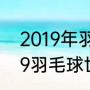 2019年羽毛球世锦赛男单决赛（2019羽毛球世锦赛单项冠军）