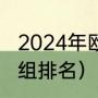 2024年欧洲杯东道主是谁（欧洲杯分组排名）