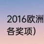 2016欧洲杯冠亚军得主（2016欧洲杯各奖项）