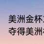 美洲金杯2019冠军（阿根廷最近一次夺得美洲杯冠军是什么时候）