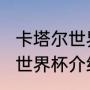 卡塔尔世界杯详细资料（2023卡塔尔世界杯介绍）