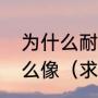 为什么耐克喷泡的鞋标跟骑士队徽那么像（求Nba队标个队徽）