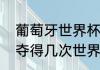 葡萄牙世界杯冠军一共几次（葡萄牙夺得几次世界杯冠军）