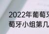 2022年葡萄牙进入世界杯了吗（葡萄牙小组第几进入世界杯）