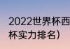 2022世界杯西班牙阵容（西班牙世界杯实力排名）