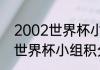 2002世界杯小组赛分布情况（2002世界杯小组积分榜）