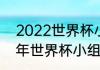 2022世界杯小组赛积分规则（2022年世界杯小组赛规则）