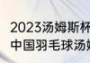 2023汤姆斯杯决赛是哪两个队（2021中国羽毛球汤姆斯杯比赛结果）