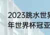 2023跳水世界杯德国站时间（2022年世界杯冠亚军）