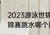 2023游泳世锦赛跳水赛程（2023世锦赛跳水哪个国家举办）