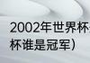 2002年世界杯冠军是哪个（02年世界杯谁是冠军）