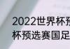 2022世界杯预选赛比分结果（世界杯预选赛国足赛程）