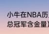 小牛在NBA历史上得几次冠军（小牛总冠军含金量）