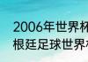 2006年世界杯所有巨星（2006年阿根廷足球世界杯第一场对谁）